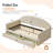 Upholstered Storage Daybed with 2 Drawers, Twin Size Multi‑Purpose Sofa Bed Frame, Solid Wood Slat Support for Small Space Bedroom-1910134987