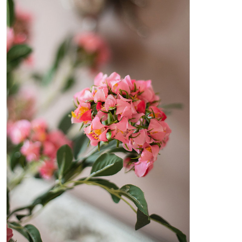 Tige de fleur de Senna, Rose, Une tige