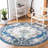 Madison Performance Oriental Rug-970136894