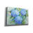 " Sky Blue Hydrangea " by Paul Brent-1698285375