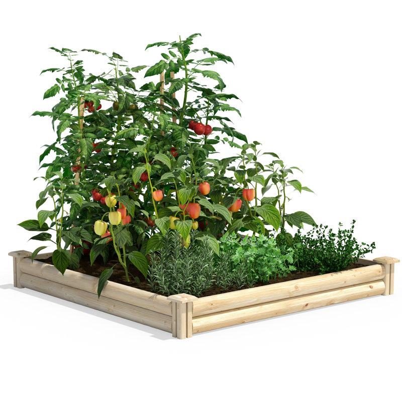Lit de jardin surélevé en bois 4 pi x 4 pi