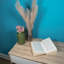 Metal Plant Trays/ Stands