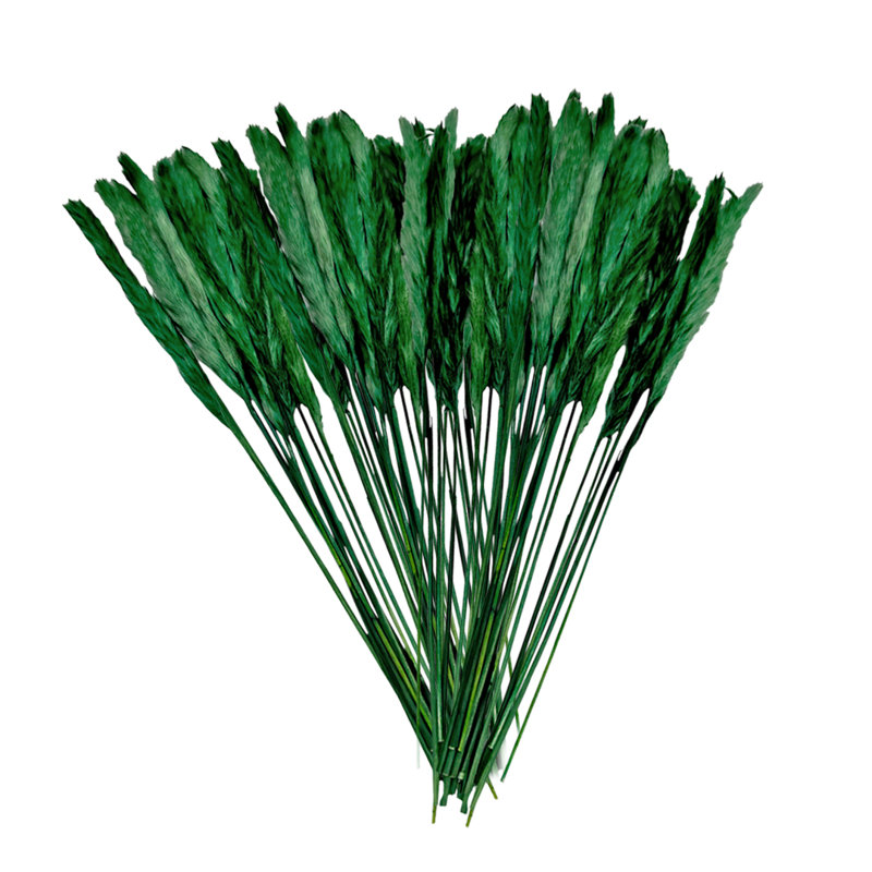 Preserved flowers Small pampass grass, Dark Green