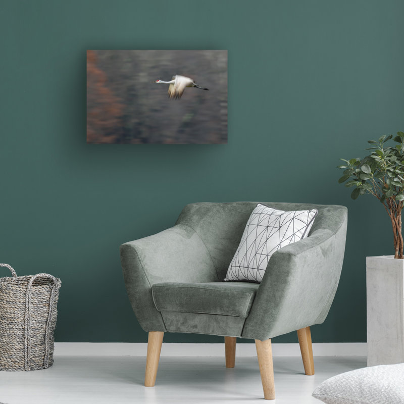 Art sur toile, Bachelor, Feng, H 16 po x l 24 po