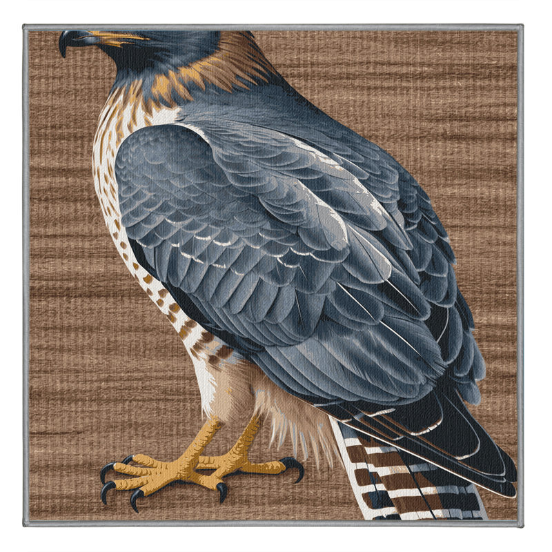 Washable Sharp shinned Hawk Birds Area Rug, Square 5'