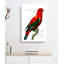 Scarlet Lory by George Shaw - Wrapped Canvas Painting-55330582