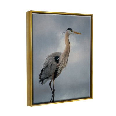 Aigrette perchée, reflet de l'eau - photographie