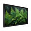 Fougères vertes émeraude I - décoration murale plantes-2111119073-2111119072