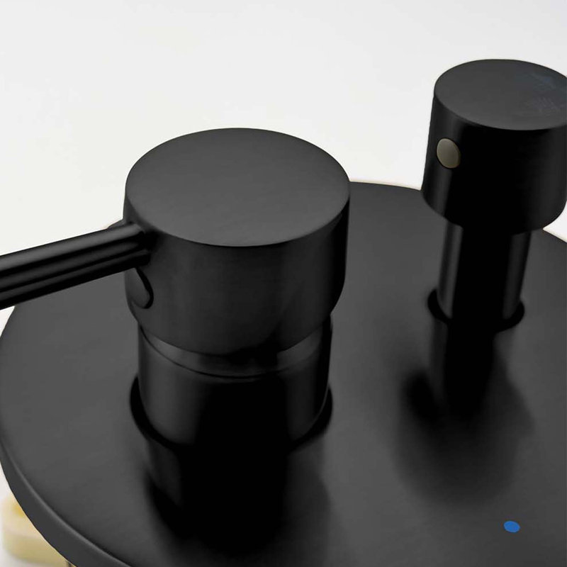 1-Spray Patterns 9.8 In. Wall Mount Dual Fixed And Handheld Shower Head 1.8 GPM In Matte Black