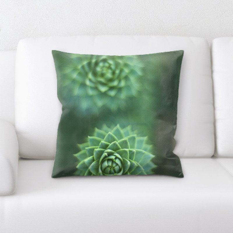 Coussin succulent