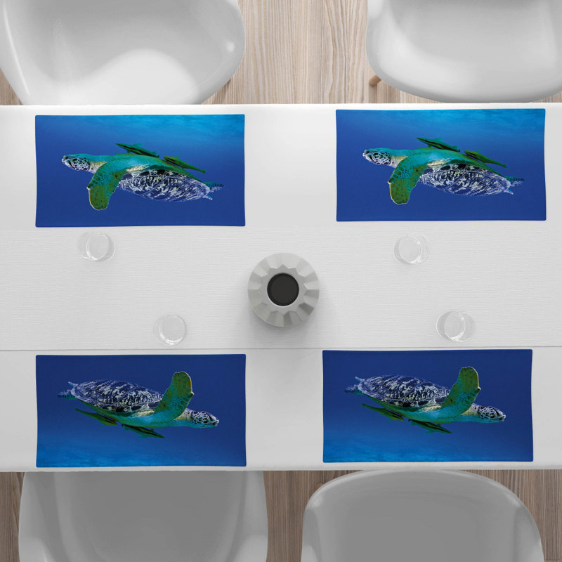 Récapitulatif 18,5" turtle