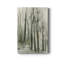 Into The Woods III - impression-816838827