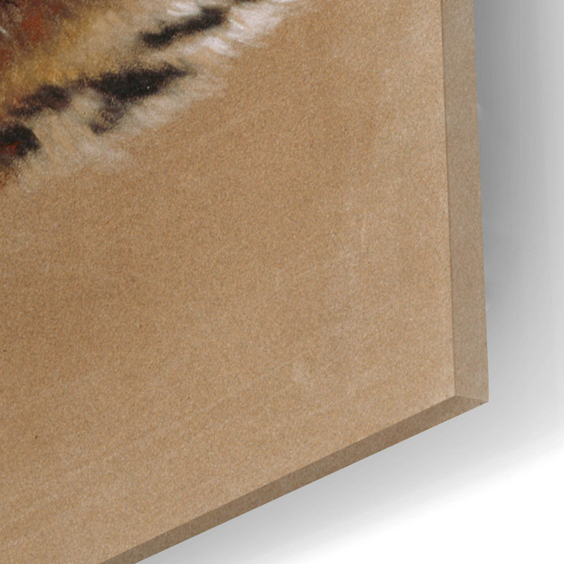 «Fire Cat» par Barbara Keith - impression non encadrée, H 16 po x l 12 po x P 0,13 po