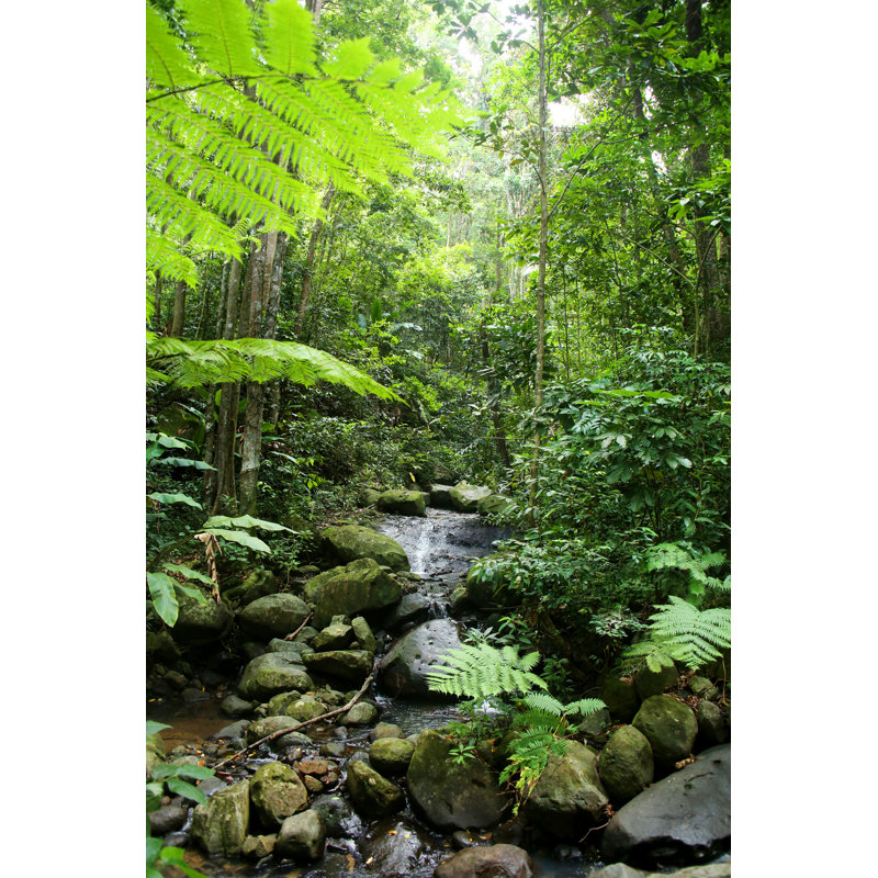 Adnaan St Lucia, Caribbean par Lisastrachan - Photographie sur toile tendue, H 18 po x l 12 po