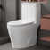 Elongated One Piece Toilet with Comfort Seat Height 17.3", Power Dual Flush 0.8/1.28 GPF and MAP 1000g