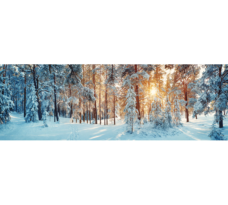 «Winter Wonderland Sunrise», art sur toile, H 20 po x l 60 po