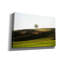 «One Tree Hill» par Brandon Wong, art mural sur toile-1118008507