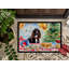 Paillasson American Water Spaniel-92905234