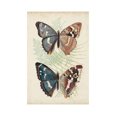 Butterflies And Ferns IV - Wrapped Canvas Print