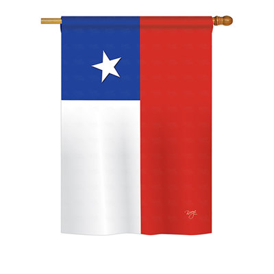 Double Sided Polyester House Flag
