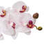 Faux orchidée Phalaenopsis-1623614986