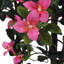 180cm Faux Bougainvillea Tree in Freestanding