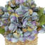 Arrangement floral d'hortensias d'automne Carytown-520612867