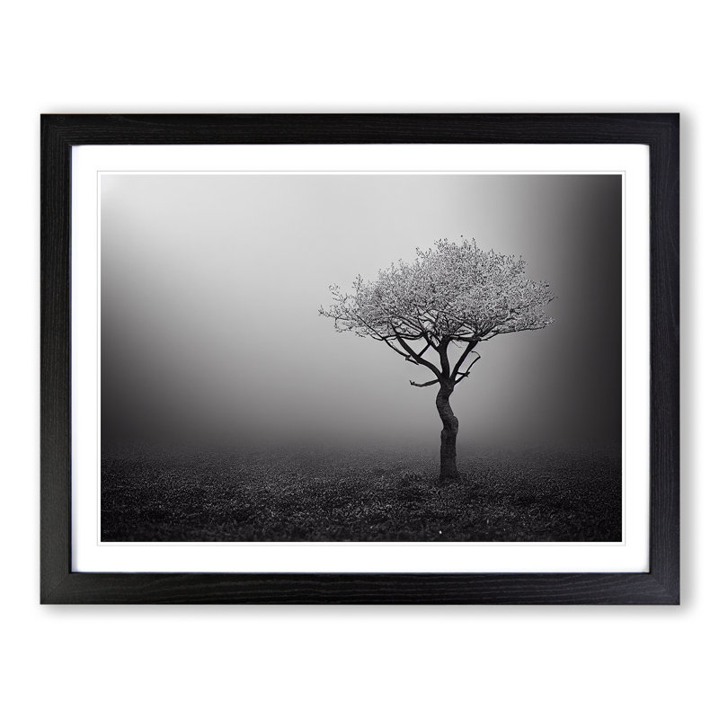 Lonely Tree - Single Picture Frame Print, Black, 46cm H x 64cm W x 2cm D