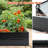 6X3x2 Ft Raised Garden Bed Of Galvanized Metal For Vegetable And Herb Cultivation - Large Capacity, , Safe Design Outdoor Succulent Planting , Stable Structure, Easy To Assemble-1467846267