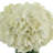 Hydrangeas in Glass Vase with Grass