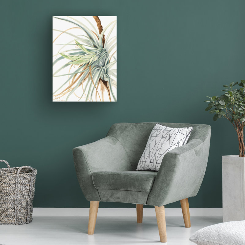 Art sur toile, Mary Vaux Walcott, H 19 po x l 14 po