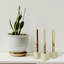 Unscented Taper Candle