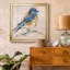 Variété d'oiseaux III - reproduction de cadre photo sur toile-200930866-200930875