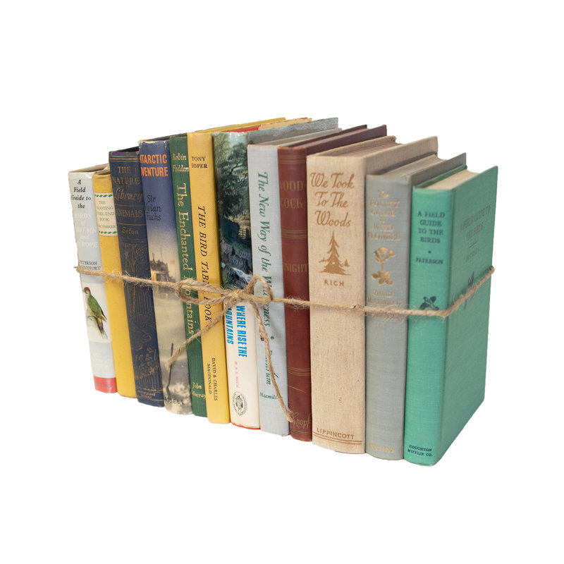 Livres décoratifs - Ensemble de livres d'extérieur rétro - 1 pied de livres