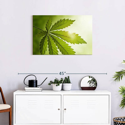 Lever de soleil de la marijuana