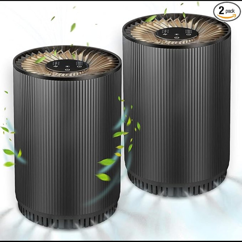 Black HEPA Filter Air Purifiers for Home, 2 Pack