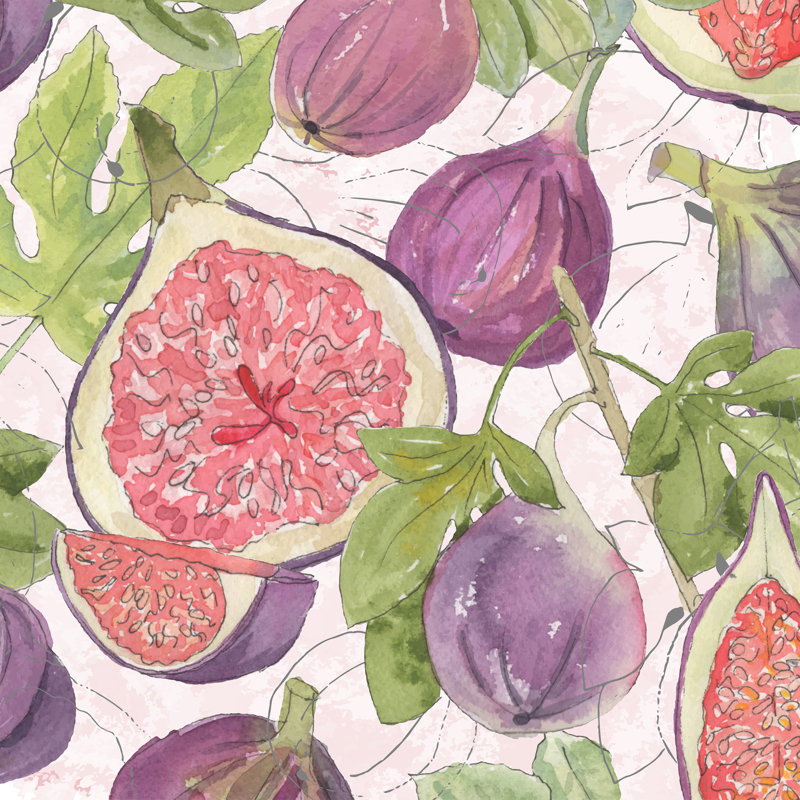 Fig Medley II by Leslie Mark - Wrapped Canvas Painting, 122cm H x 122cm W
