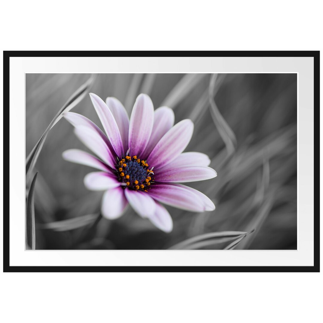 Gerahmtes Poster Blume in der Natur