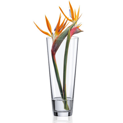 Ladainian Glass Taper Vase Set of 6