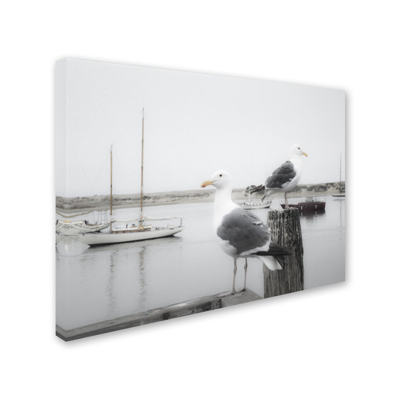 Moises Levy - Print on Canvas, 24" H x 32" W x 2" D