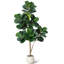 Plant-805053551