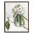 Grain de bois noyer sélectionné