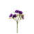 Purple is out of stock