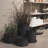 Tall Metal Plant Pot-1168429021