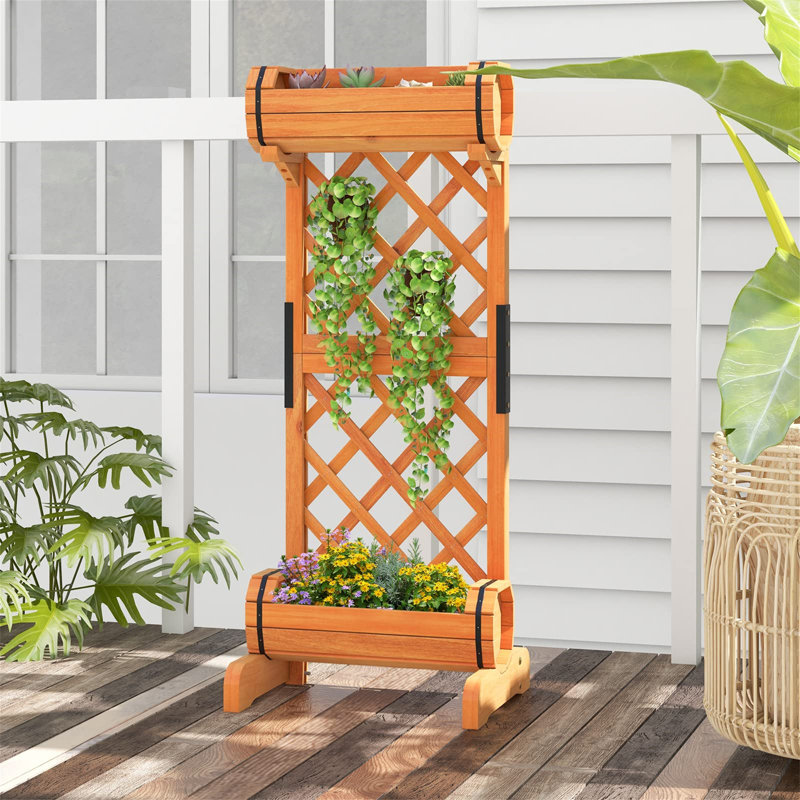 Delfina Raised Garden Bed