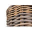 Dunshee Rattan Plant Pot-1869183274