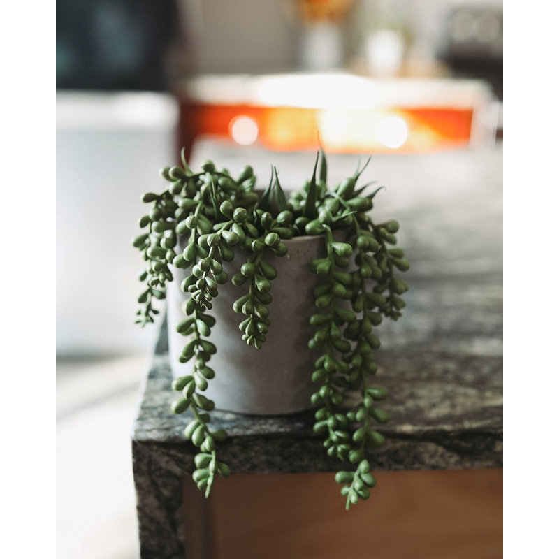 Faux Branch