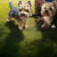 Briceno Animals Figurines & Sculptures