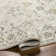 Oriental Indoor Rug