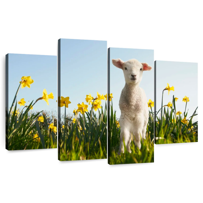 Brampt Springtime Lamb, 14" H x 24" W
